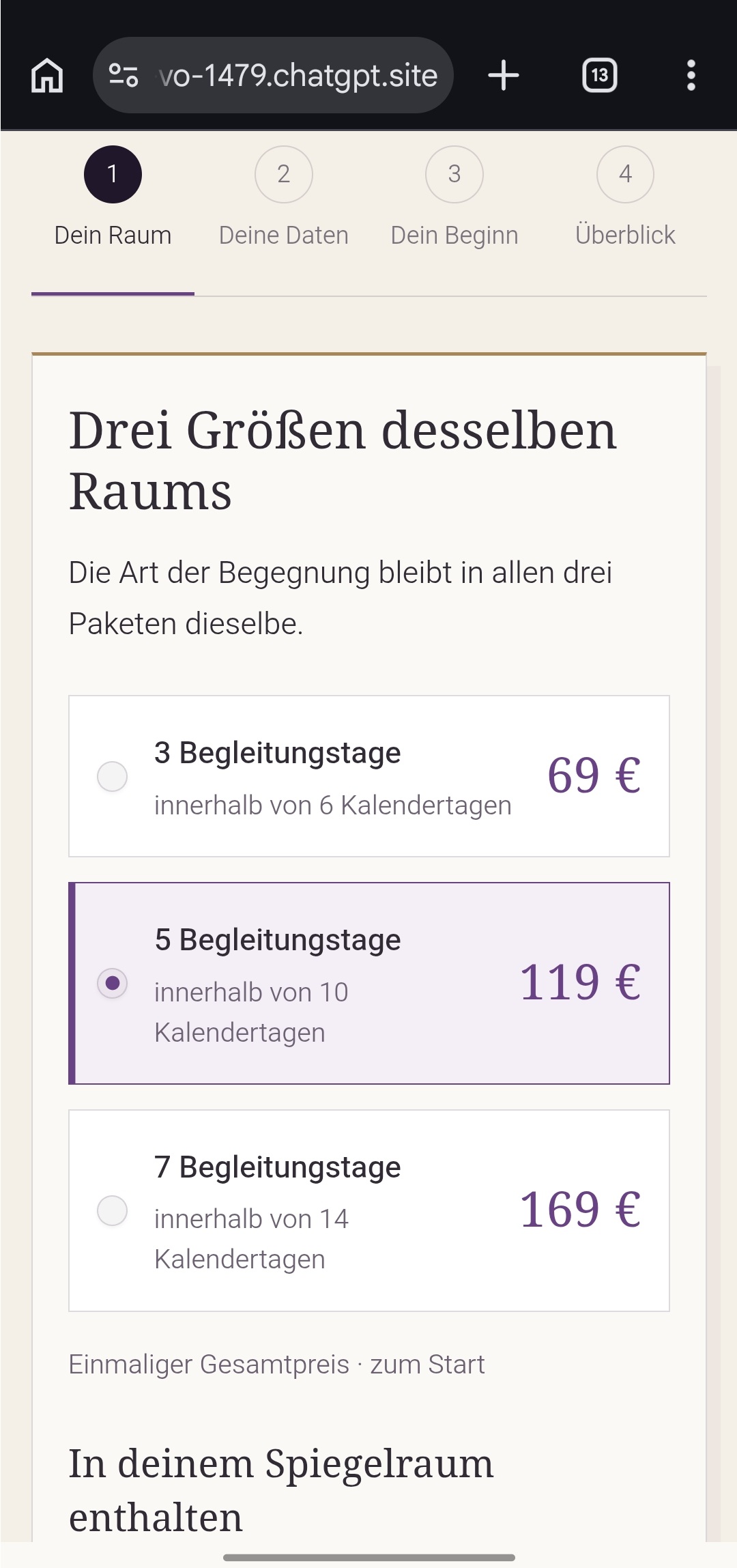 Spiegelräume: Paketauswahl · Mobile Browseransicht